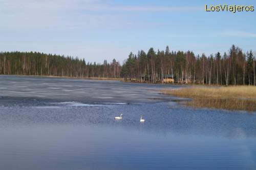 Lago semihelado - Paisajes del Centro de Finlandia