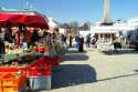 Kauppatori or Fish Market -Helsinki- Finland