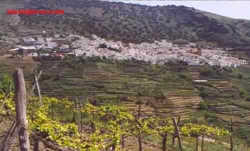 Village in Alpujarra - Andalucia - Spain
Pueblecito de La Alpujarra - Andalucia - España