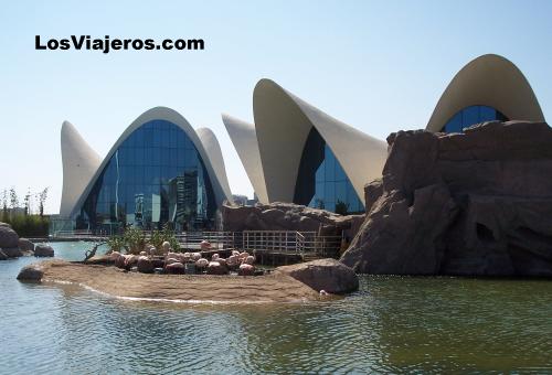 City of the Arts & Sciences - Valencia - Spain
Ciudad de las Artes y Las Ciencias - Oceanografic - Valencia - España