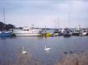 Ir a Foto: Puerto de la costa sueca -Suecia 
Go to Photo: Port on the coast of Sweden