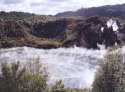 Ir a Foto: Azufre en el lago -Wairakei Tourist Park- Rotorua 
Go to Photo: Cathedral Rocks - Rotorua