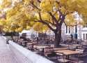 Cafe de la Universidad de Christchurch -Isla del Sur
Coffe of the Christchurch University in New Zealand