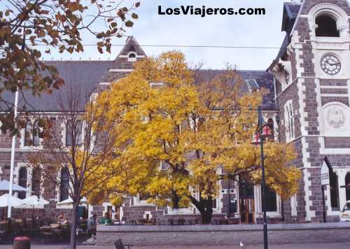 Campus universitario - Christchurch -Isla del Sur - Nueva Zelanda