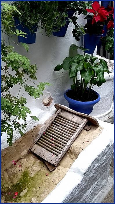 Visitar los Patios de Córdoba fuera de Festival. - Foro Andalucía