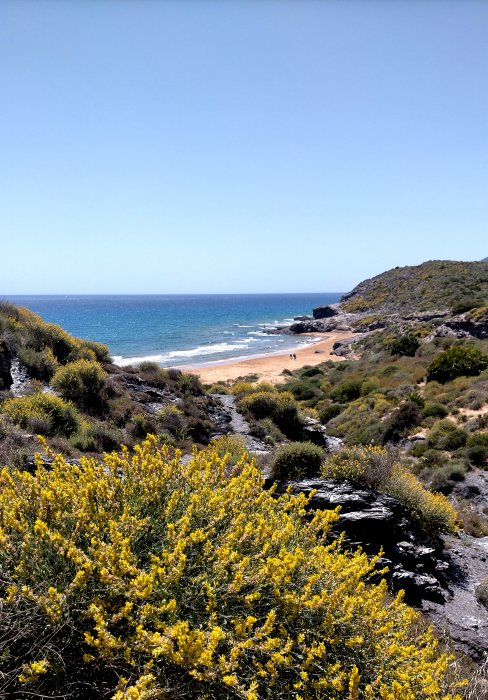 Parque Regional de Calblanque y Playas - Cartagena (Murcia) - Foro Murcia