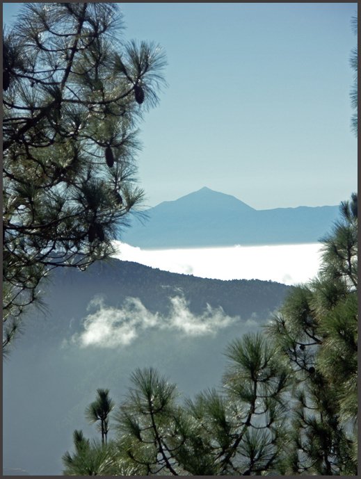 Excursiones en Gran Canaria - Forum Canary Islands