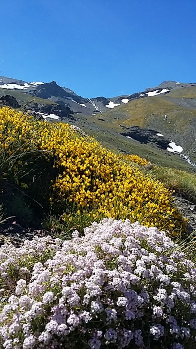 Senderismo en Sierra Nevada - Parque Nacional - Forum Andalusia